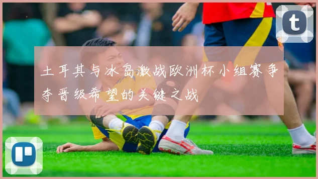 土耳其与冰岛激战欧洲杯小组赛争夺晋级希望的关键之战